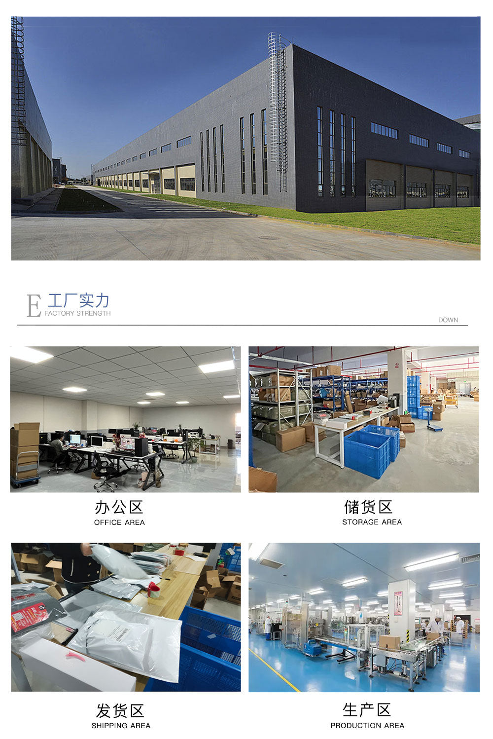 Ford Full Vehicle Range1.4/1.6/1.8Engine Timing Special Maintenance Tool Set Steam Dual-use for Diesel and Gasoline