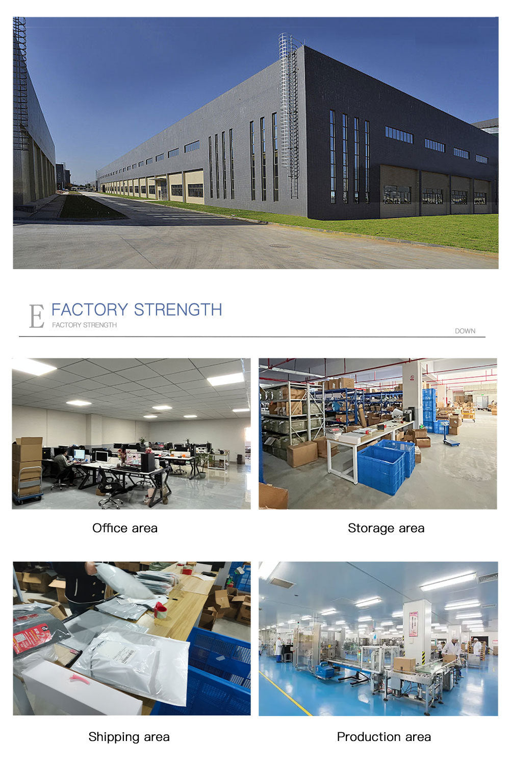 Ford Full Vehicle Range1.4/1.6/1.8Engine Timing Special Maintenance Tool Set Steam Dual-use for Diesel and Gasoline